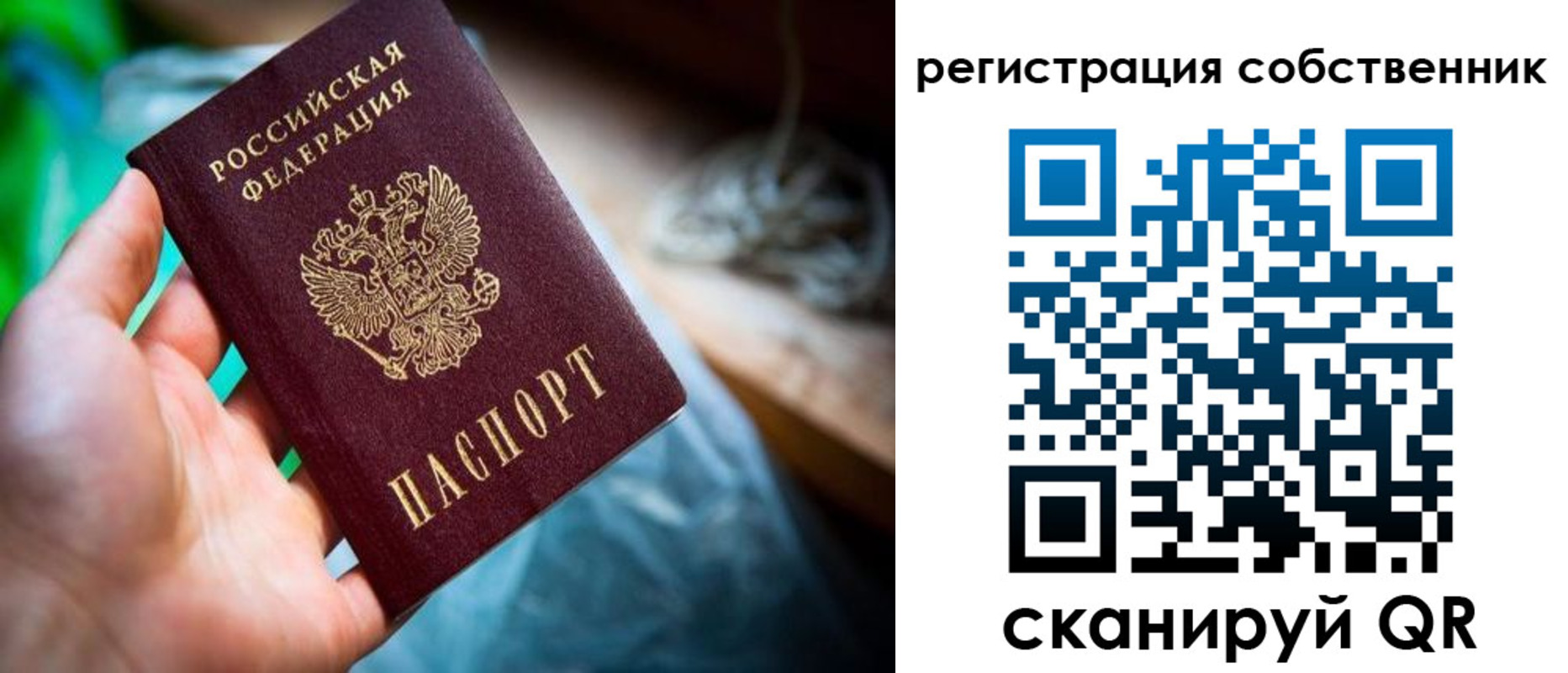 прописка гарантия в Долгопрудном
